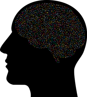 Cerveau Psychologie Esprit La - Images vectorielles gratuites sur Pixabay