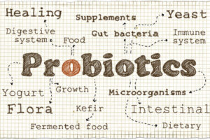 probiotique